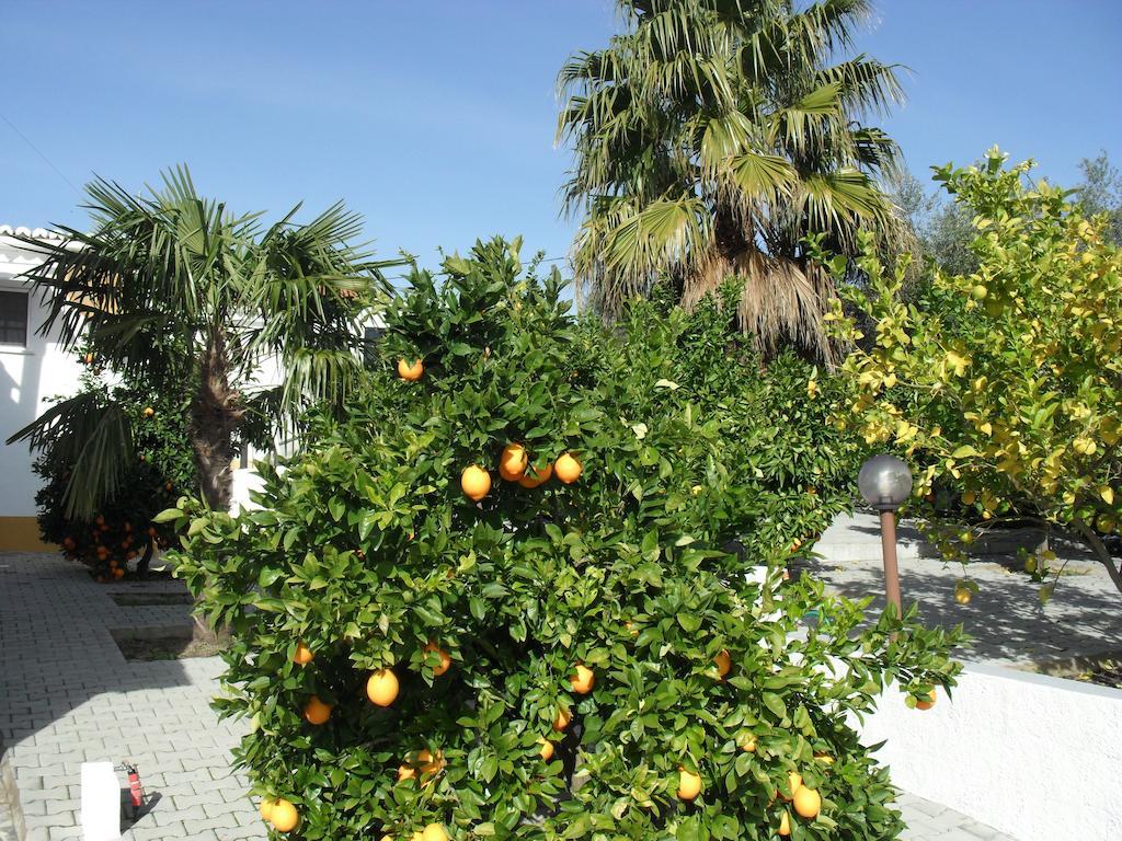 Casa De Campo Quinta Sao Jorge Βίλα Reguengos de Monsaraz Εξωτερικό φωτογραφία